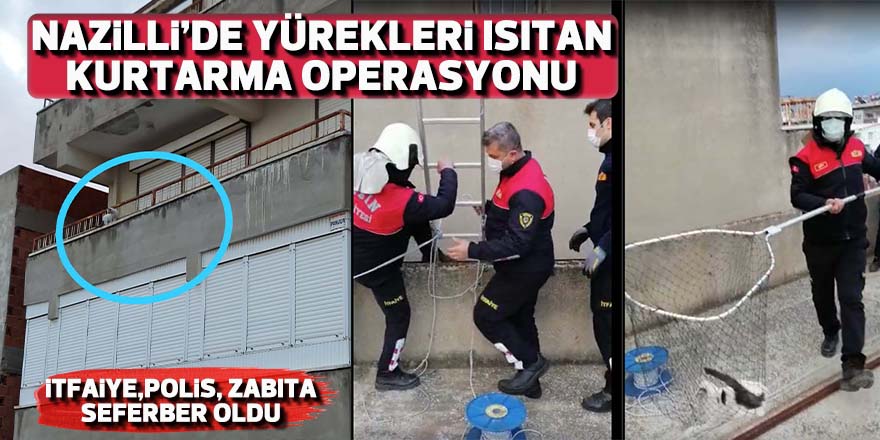 Balkonda  mahsur kalan kediyi kurtarmak için seferber oldular