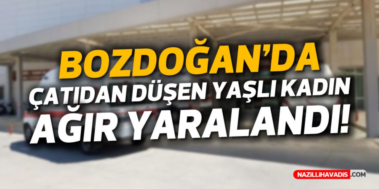 Bozdoğan’da çatıdan düşen kadın ağır yaralandı