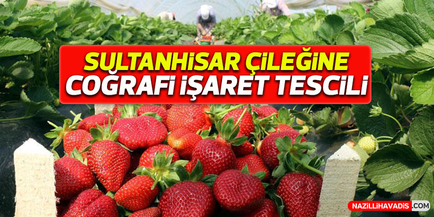 Sultanhisar çileğine coğrafi işaret tescili