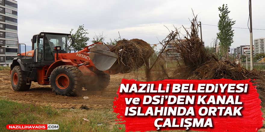 Nazilli Belediyesi ve DSİ'den kanal ıslahında ortak çalışma