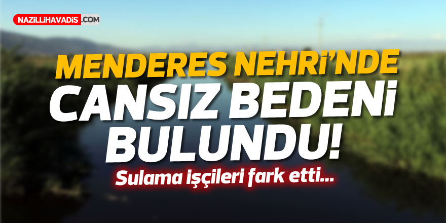 Aydın'da bir kişi nehirde ölü bulundu