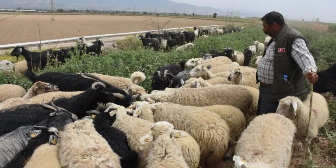 Göçerlerin Aydın'dan yaylalara yolculuğu başladı