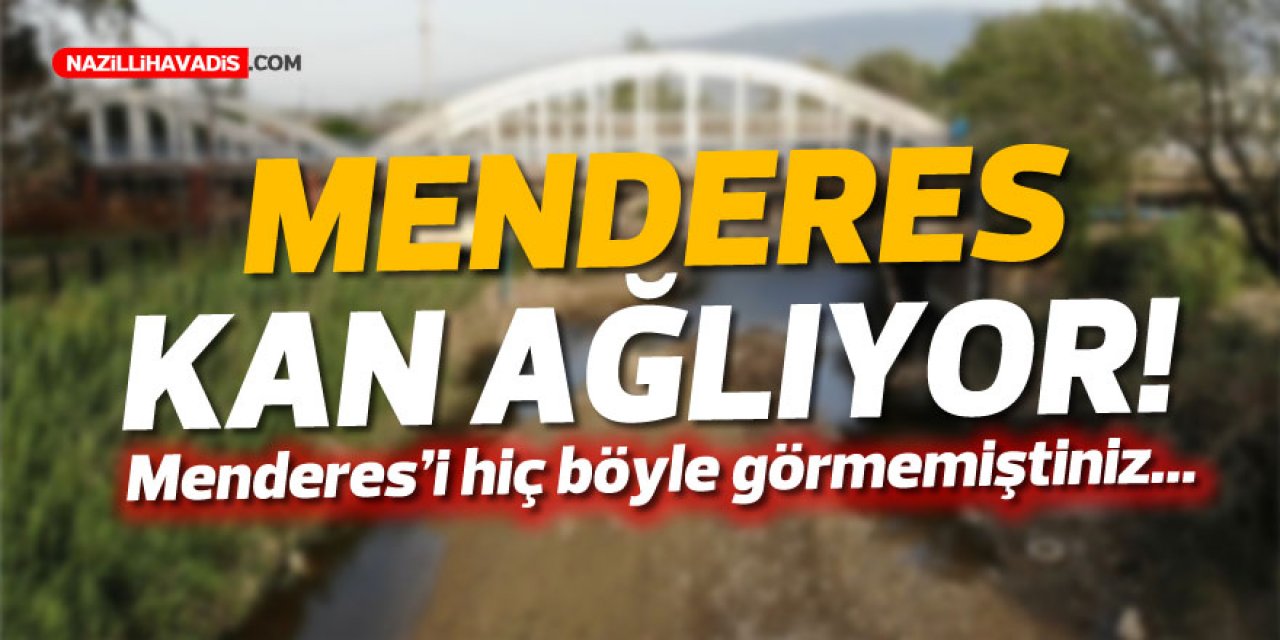 Ege’nin kalbi Büyük Menderes kan ağlıyor!