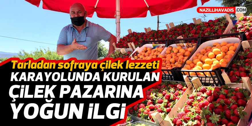 Karayolunda kurulan çilek pazarına yoğun ilgi