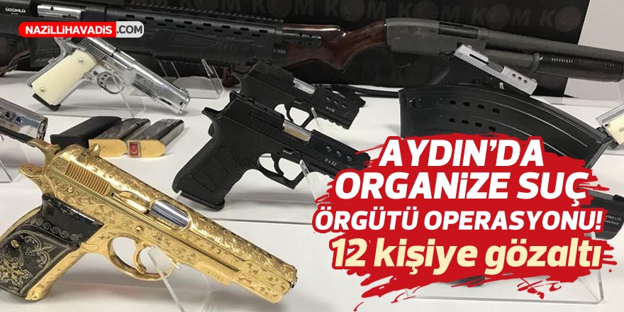 Aydın'da organize suç örgütü operasyonu: 12 gözaltı