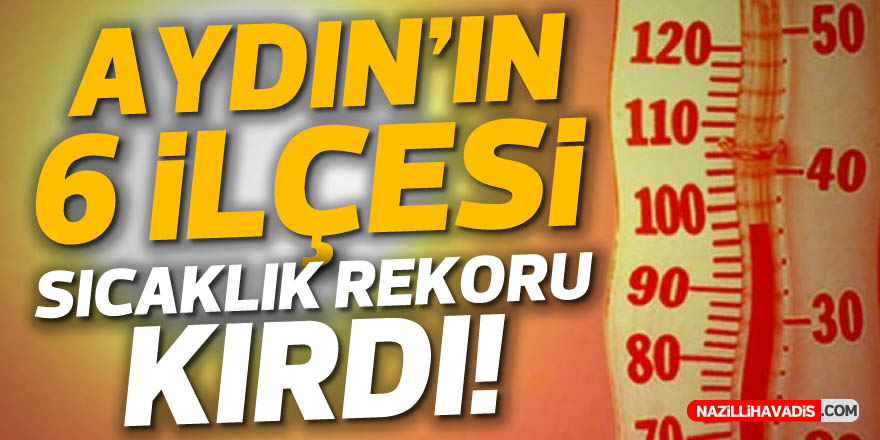 AYDIN'IN 6 İLÇESİ SICAKLIK REKORU KIRDI! İŞTE O TABLO