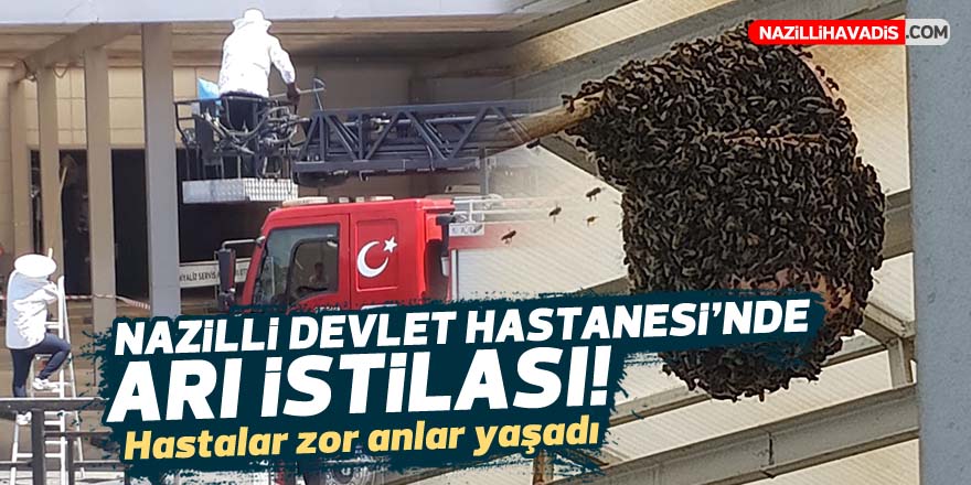 NAZİLLİ DEVLET HASTANESİ'NDE ARI İSTİLASI!