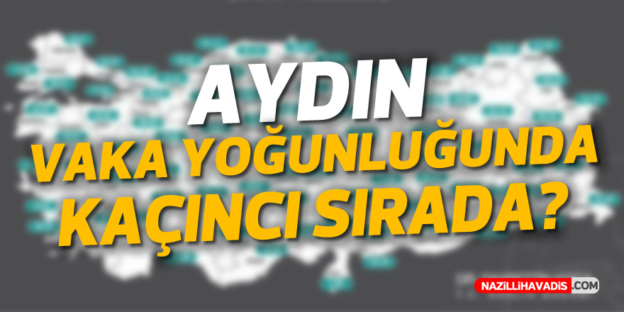 VAKA YOĞUNLUĞUNDA AYDIN'IN SIRASI BELLİ OLDU