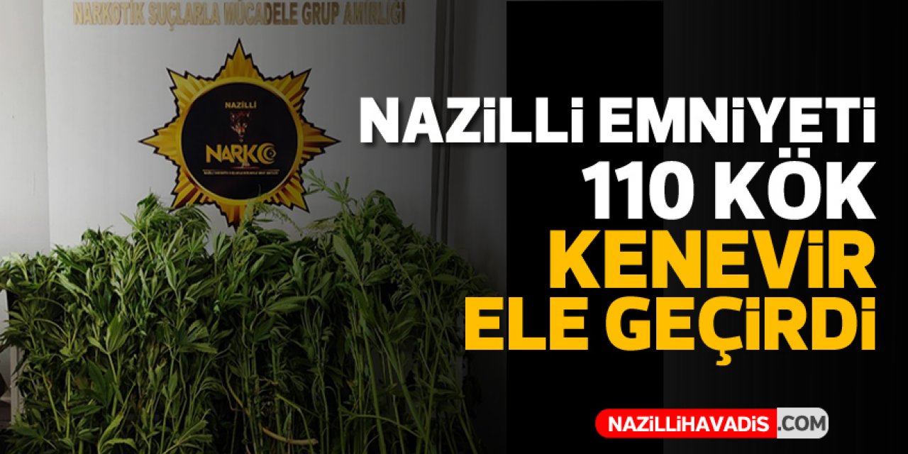 Nazilli'de 110 Kök Hint Keneviri Ele Geçirildi