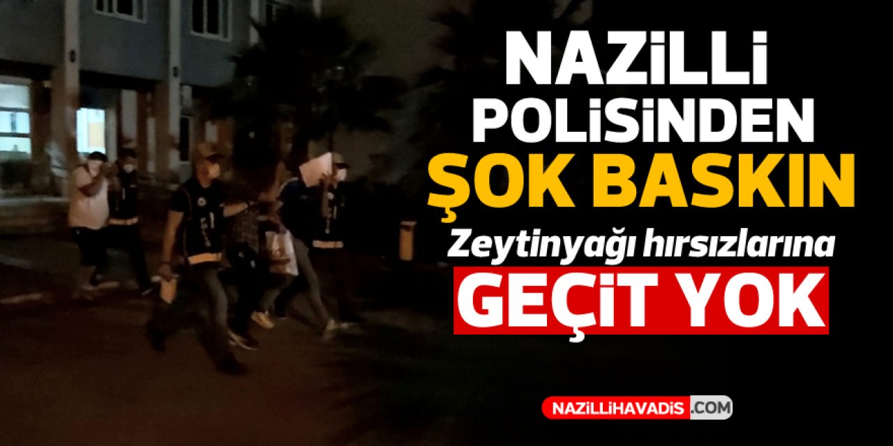 Nazilli’de zeytinyağı hırsızları yakalandı