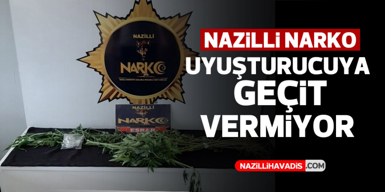 Nazilli polisi 20 kök hint keneviri ele geçirdi