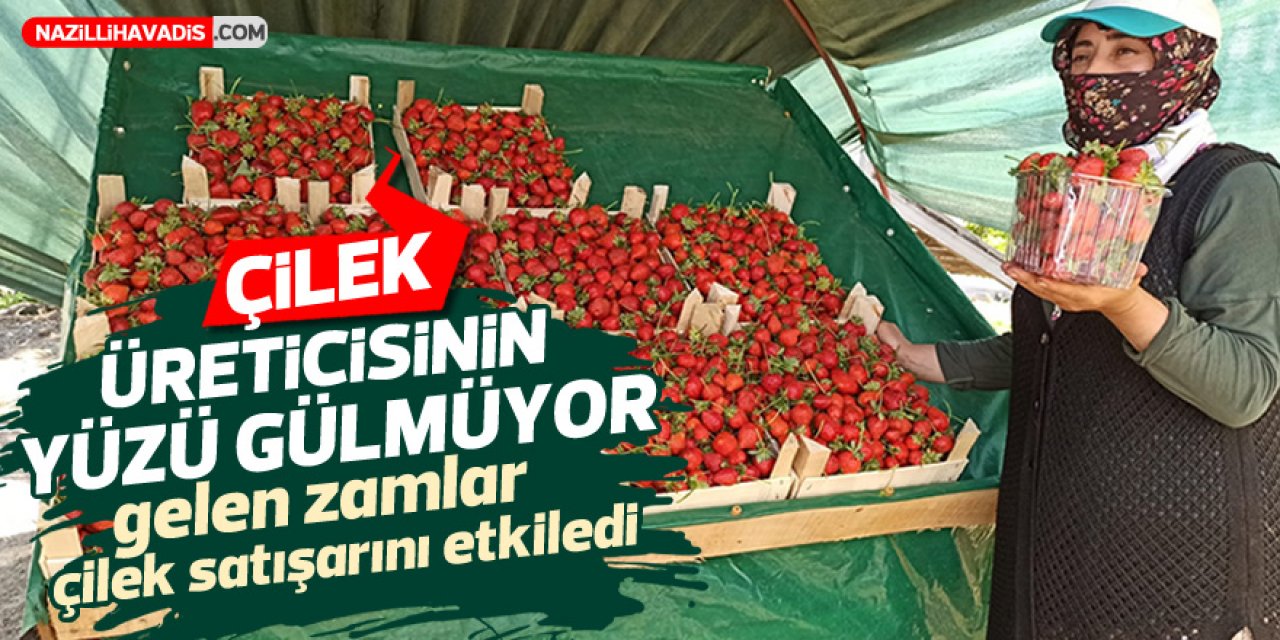 ÇİLEK ÜRETİCİSİNİN YÜZÜ GÜLMÜYOR  GELEN ZAMLAR ÇİLEK SATIŞINI ETKİLEDİ