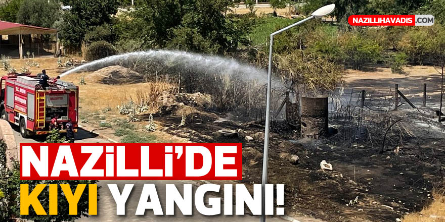 Nazilli’de kıyı yangını