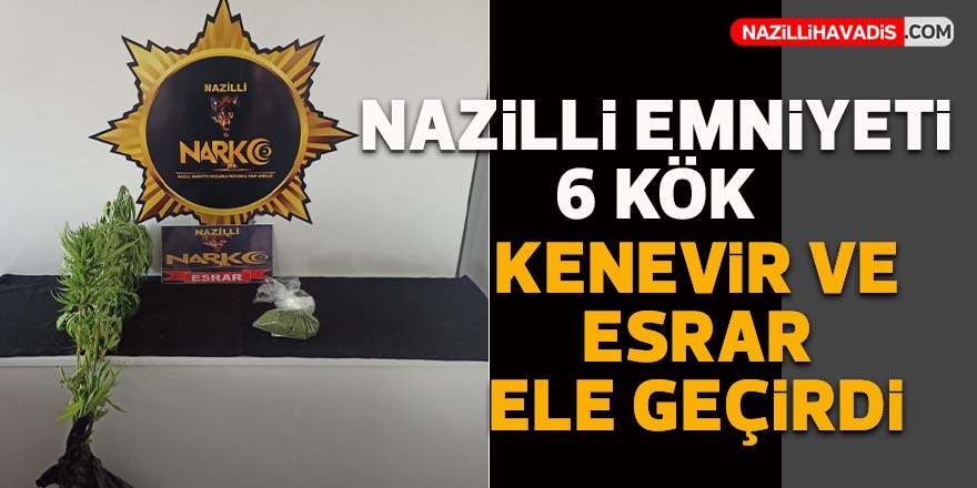 Nazilli polisi 6 kök hint keneviri ile esrar ele geçirdi