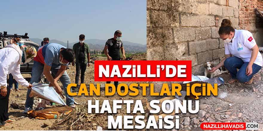 Can dostlar için hafta sonu mesaisi