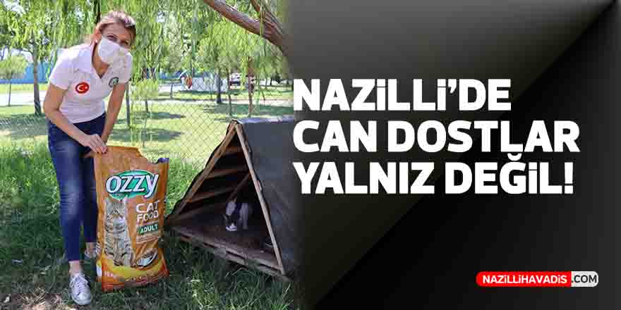 Nazilli’de can dostlar yalnız değil