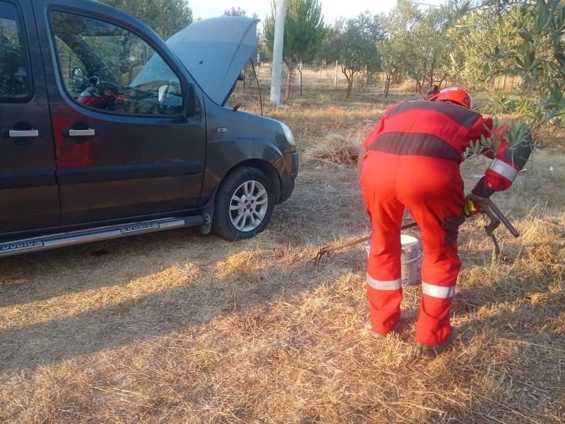 Otomobilin motoruna giren yılan itfaiye ekiplerince çıkarıldı