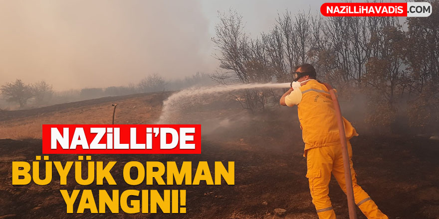 Nazilli’de büyük orman yangını! Gittikçe yayılıyor...