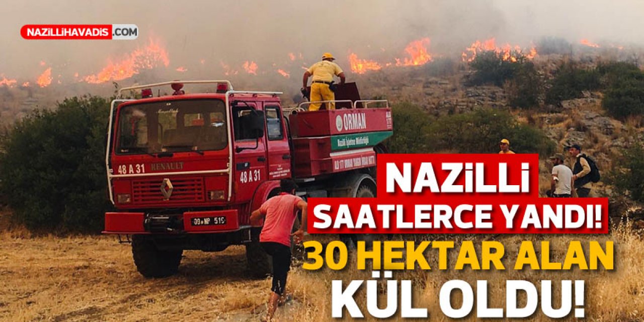 Nazilli saatlerce yandı! 30 hektar arazi zarar gördü