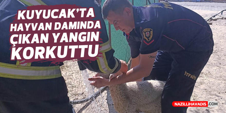 KUYUCAK'TA HAYVAN DAMINDA ÇIKAN YANGIN KORKUTTU