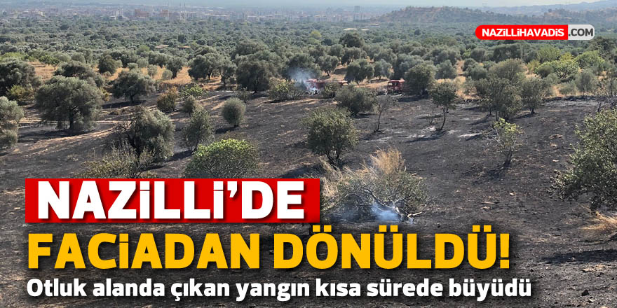 Nazilli’de çıkan yangında 200 dönüm arazi küle döndü