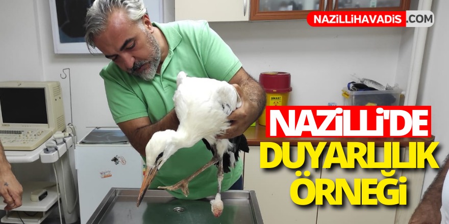 Nazilli’de ayağı kopan yaralı leylek, tedavi altına alındı