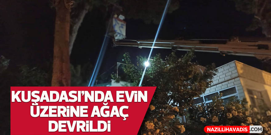 Kuşadası'nda evin üzerine ağaç devrildi