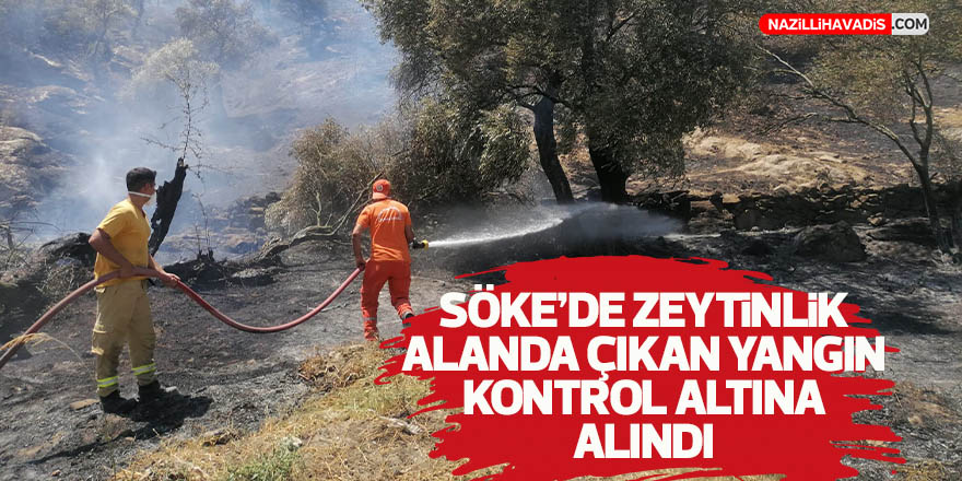 Söke'de zeytinlik alanda çıkan yangın kontrol altına alındı