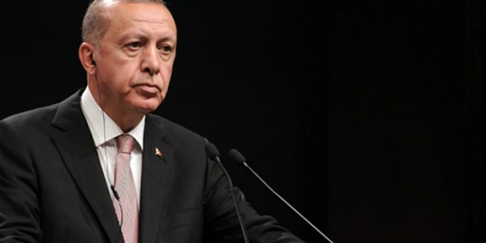 Cumhurbaşkanı Erdoğan'dan yangınlarla ilgili açıklama