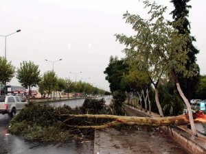 Kıyı Ege’ye Kuvvetli Yağış ve Fırtına Uyarısı