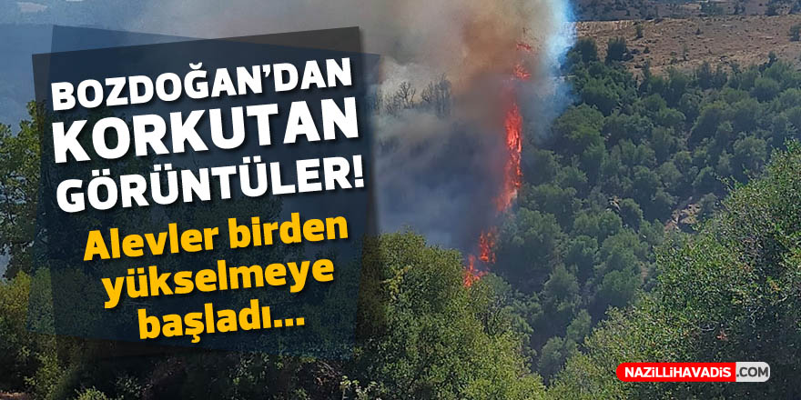 Bozdoğan'da yangın sıçrayarak büyüyor