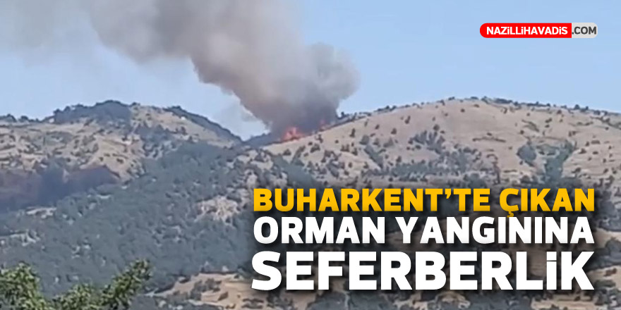 Buharkent’te çıkan orman yangınına seferberlik