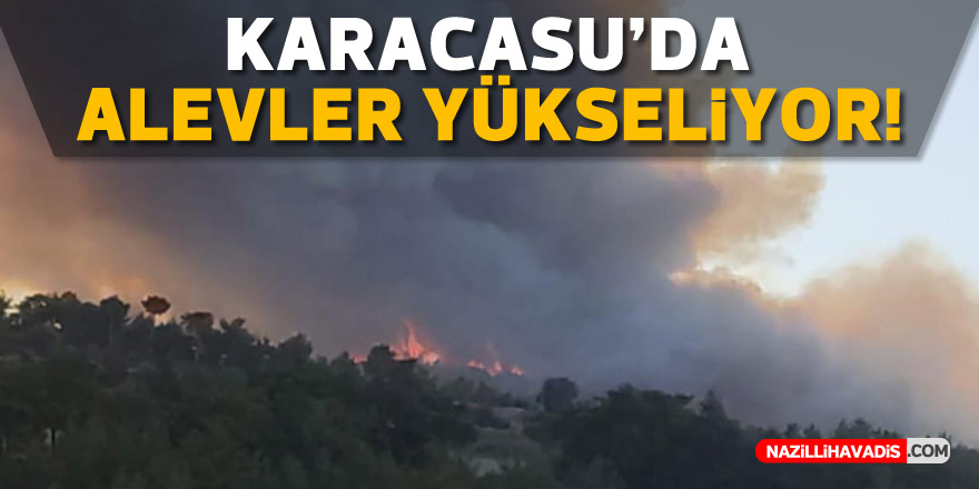 KARACASU'DA ALEVLER YÜKSELMEYE BAŞLADI