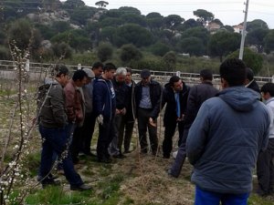 Üreticilere Meyve Ağaçlarında Budama Eğitimleri Veriliyor