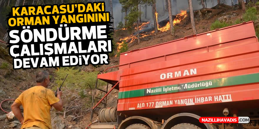 Karacasu'daki orman yangınını söndürme çalışmaları devam ediyor