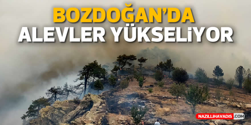 Bozdoğan’da bir yangın daha! Belediye’den ‘acil destek’ çağrısı