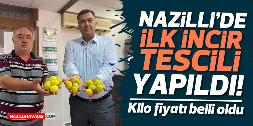 NAZİLLİ'DE İLK İNCİR TESCİLİ YAPILDI