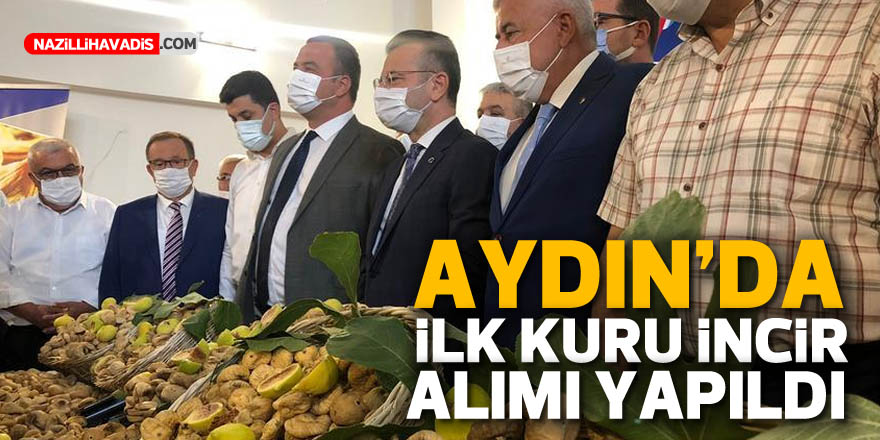 Aydın'da ilk kuru incir alımı gerçekleştirildi