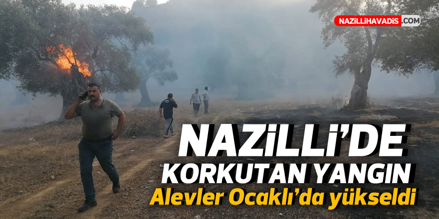 NAZİLLİ'DE KORKUTAN YANGIN