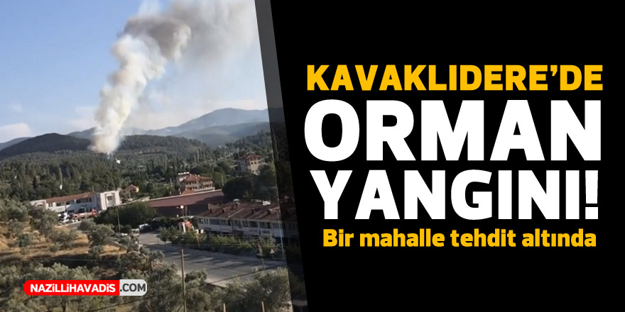 Kavaklıdere'de orman yangını çıktı... Bir mahalle tehdit altında