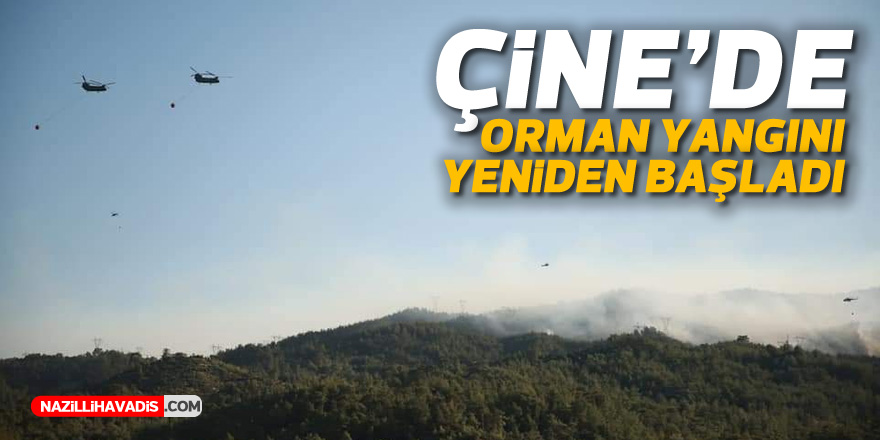 ÇİNE'DE ORMAN YANGINI YENİDEN BAŞLADI