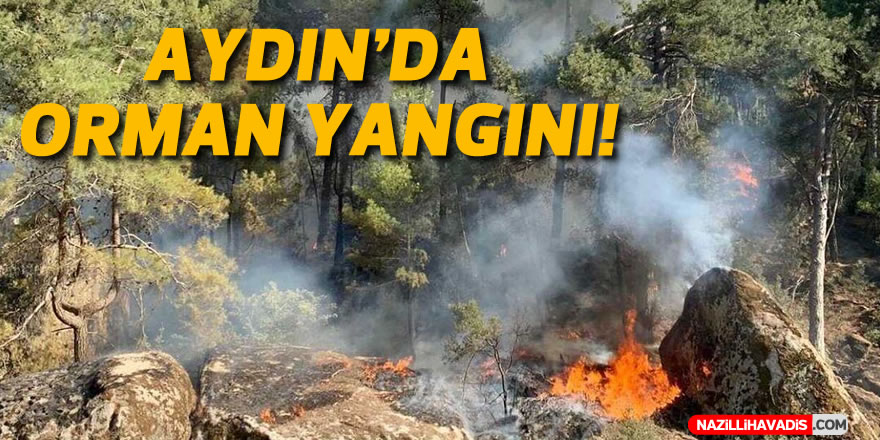 Aydın’daki orman yangınına müdahale ediliyor