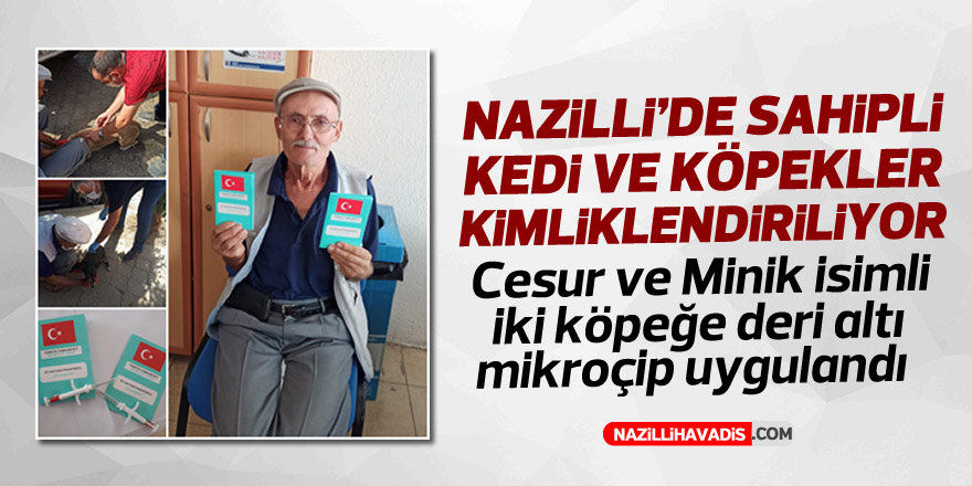 Nazilli’de sahipli kedi ve köpekler kimliklendiriliyor