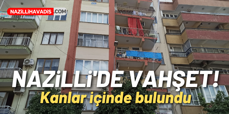 NAZİLLİ'DE YAŞLI KADIN KANLAR İÇİNDE BULUNDU