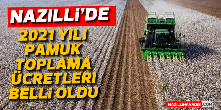 Nazilli’de 2021 yılı pamuk toplama ücretleri belli oldu