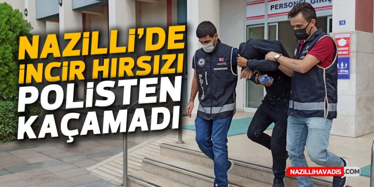 NAZİLLİ'DE İNCİR HIRSIZI TUTUKLANDI