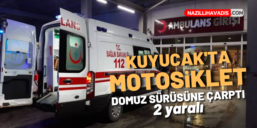 Kuyucak'ta domuz sürüsüne çarpan baba oğul yaralandı