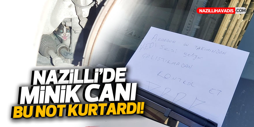 Nazilli'de minik bir can daha kurtarıldı! O not her şeyi değiştirdi