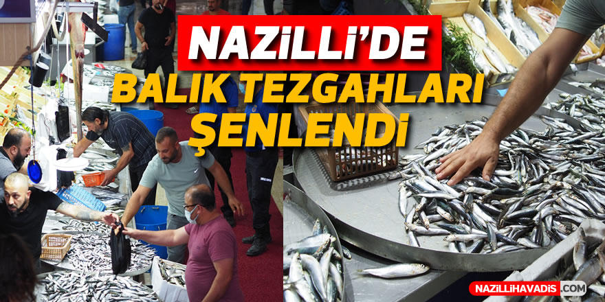 Nazilli'den hamsi ve sardalyeye yoğun talep