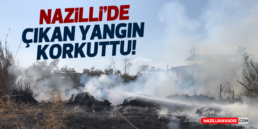 Nazilli’de çıkan otluk yangını söndürüldü